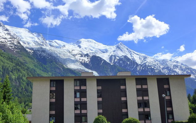 Arve 1 et 2 - Photo 5