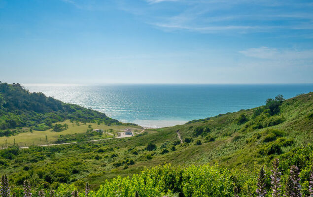 Xabadenia - Photo 18