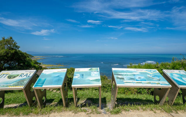 Xabadenia - Photo 20