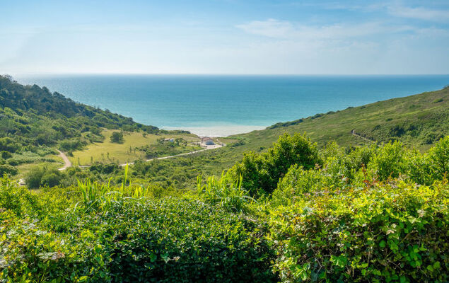 Xabadenia - Photo 21