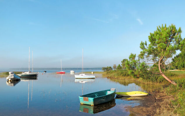 Les Cracks - Les As - Photo 28