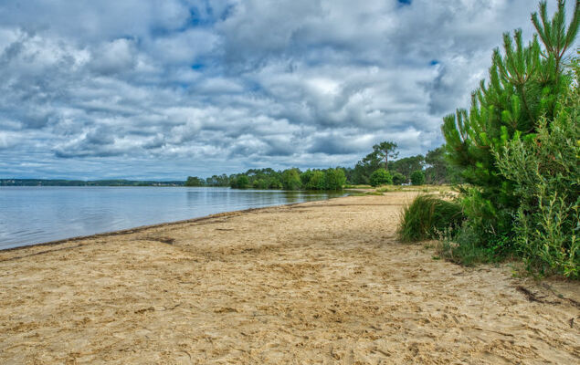 Les Landaises - Photo 25