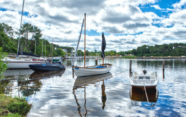 Les Landaises - Photo 27