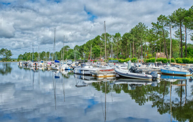 Les Landaises - Photo 28