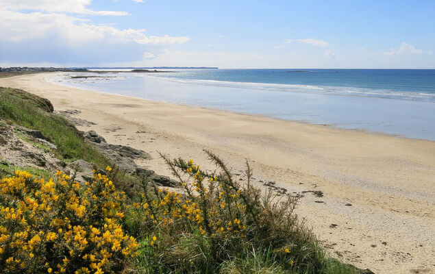 Maison de Kerguen - Photo 23