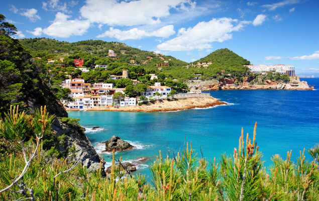 La Sardana - Photo 23