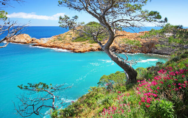 La Sardana - Photo 24