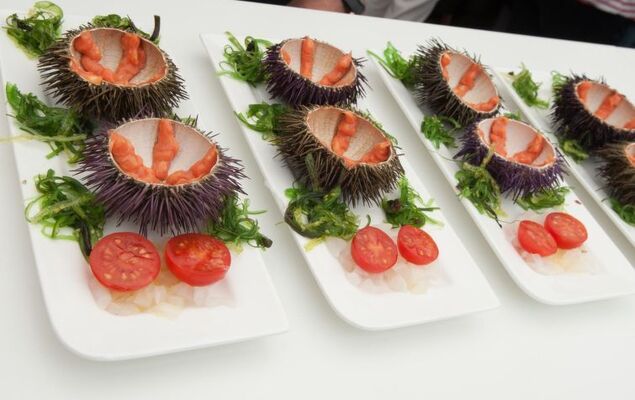 La Sardana - Photo 26