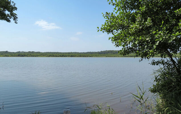 L'imprévu - Photo 19